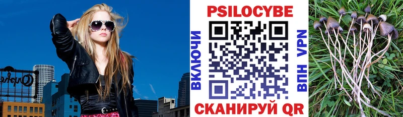 Галлюциногенные грибы Cubensis  Купить закладки  Сосновка 