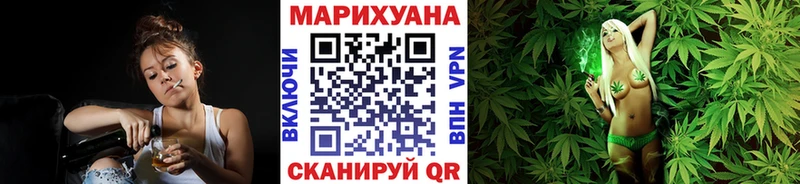 Купить  Сосновка  Канабис индика 